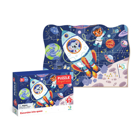 Dodo Puzzle Excursion Into Space