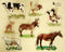 Doron Layeled Farm Animals Large Peg Puzzle